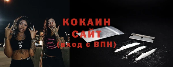сатива Медногорск