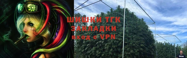 сатива Медногорск
